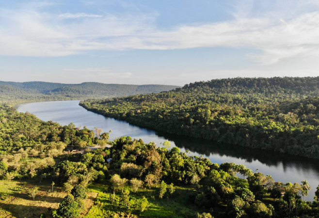 Trek Through Chi Phat's Cardamom Rainforest