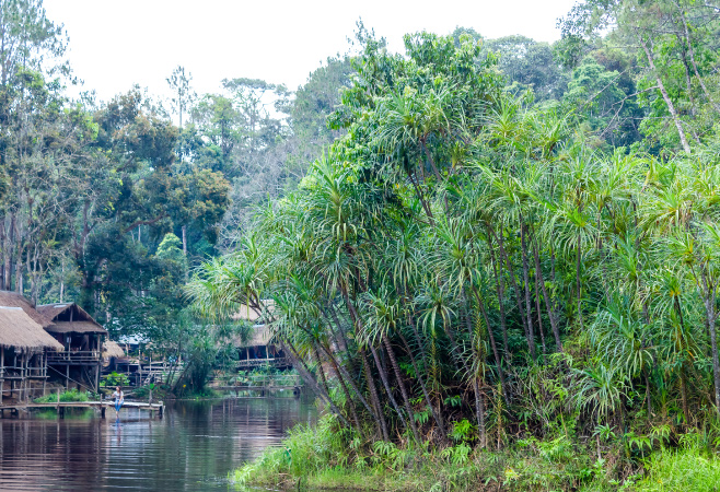 Experience Boat Trips on Mountain Lakes