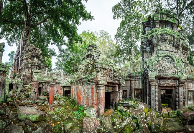 Explore Ta Prohm: The Jungle Temple