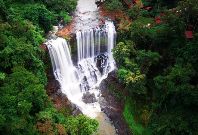 Jungle Trekking and Forest Exploration