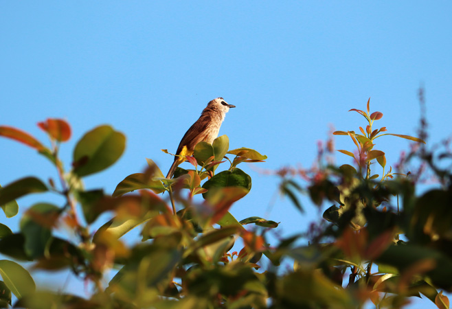 Kbal O'Chra: Nature and Wildlife Preserves