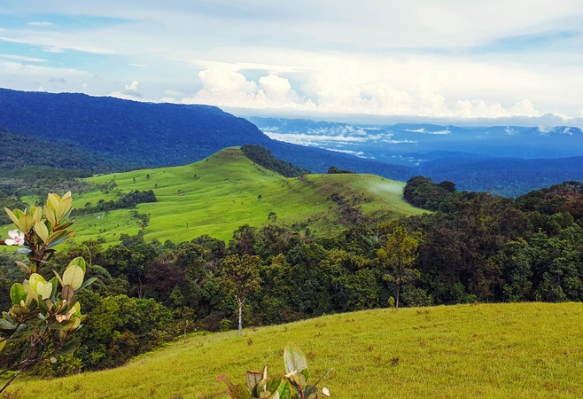 Phnom Aural Trek: Conquering Cambodia's Highest Peak