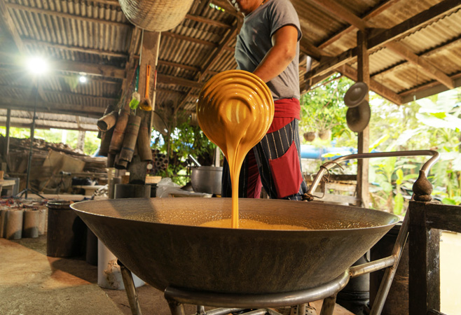 Agricultural Experiences and Palm Sugar Production