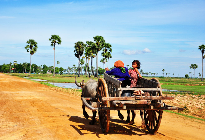 Cultural Immersion and Local Life