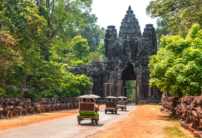 Join Guided Tours for Deeper Understanding