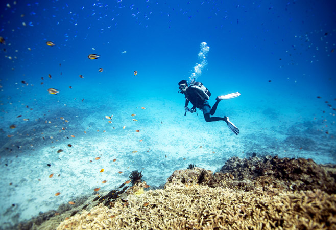 Water Sports and Marine Adventures