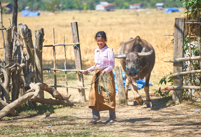 Indigenous Culture and Village Visits in Ratanakiri