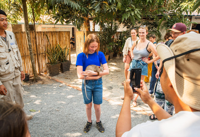 Modern Attractions and Family Fun