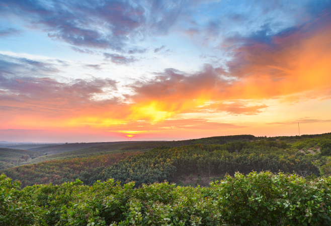 Practical Travel Information