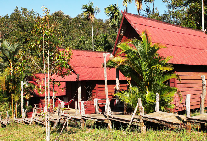 Sustainable Tourism and Conservation Support