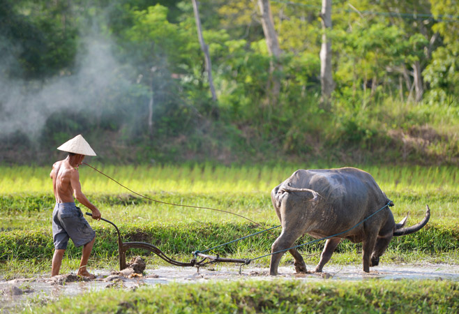 Sustainable Tourism and Responsible Travel